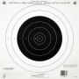 Champion Traps & Targets GTQ4 NRA Target, 100 Yard Single Bullseye, 12 Pack 40762