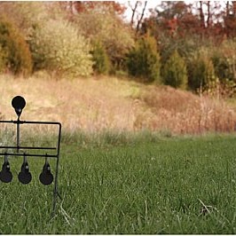 Caldwell Airgun Resetting Target