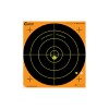 Caldwell Orange Peel 16 bulls-eye: 10 sheets