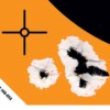 Caldwell Orange Peel 16 bulls-eye: 10 sheets