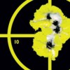 Caldwell Orange Peel Sight-In Target: 8 5 sheets