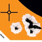 Caldwell Orange Peel Vermin Target: 7 10 sheets
