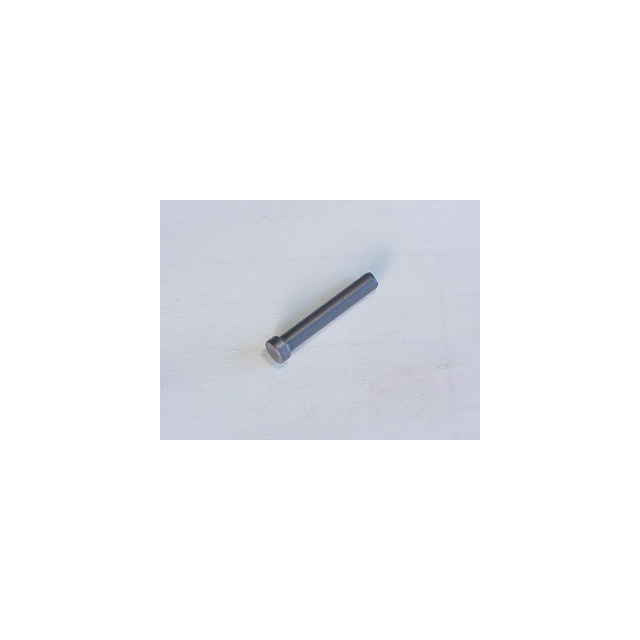 Lee Precision Priming Post(PIN)SM